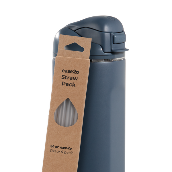 Ease2o Straws 4 Pack 24oz I0